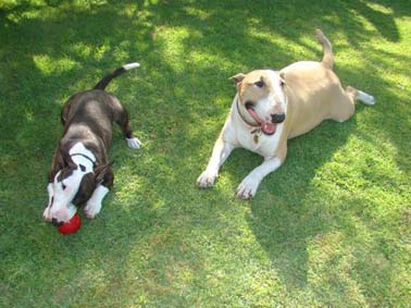Doris & Henry