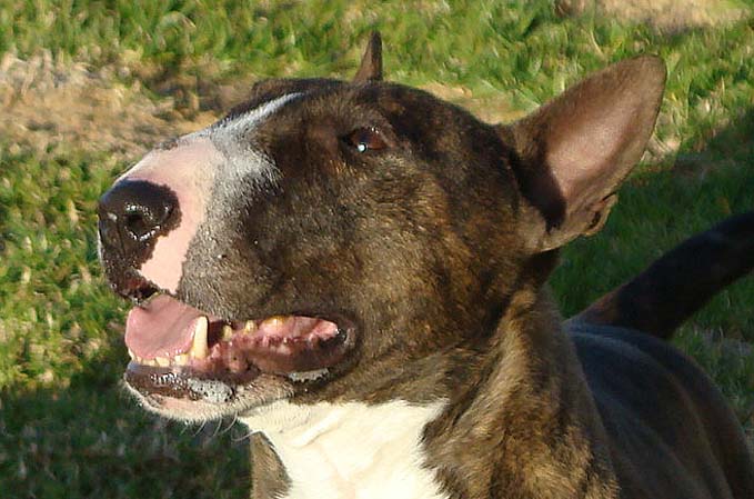 Eddy Calendar 2009
