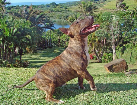 Gina