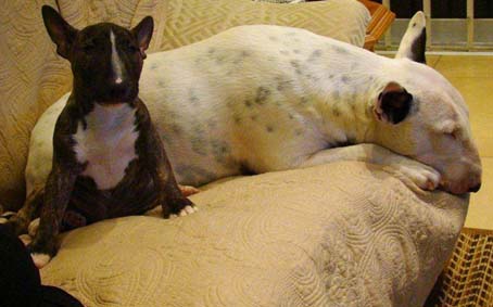 Gina & Maggie