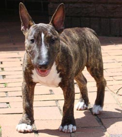 Gina