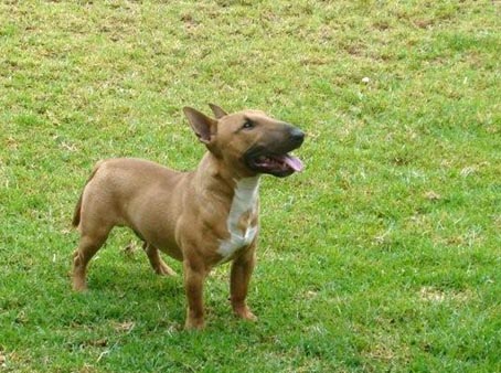 Knoffel 1 year old