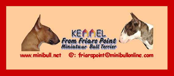 Friars Point Minibulls