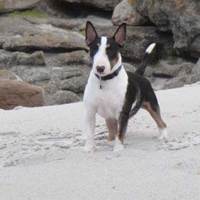 Lola