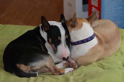 Lola & TsaTsa