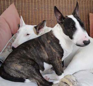 Morris & Maggie