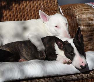 Morris & Maggie