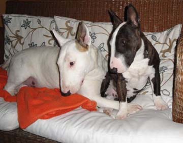 Morris & Maggie