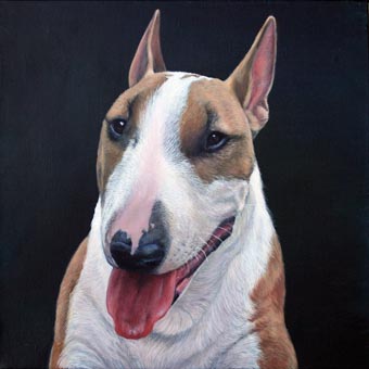 Cooper