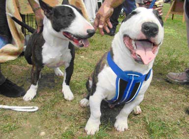 Morris & Storm