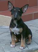 Nubia