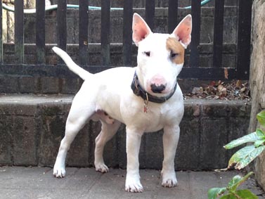 Oli at 1 year old