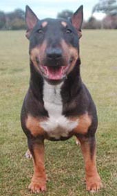 Onyx