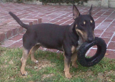 Onyx