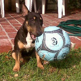 Onyx