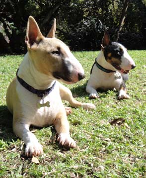TsaTsa & Lola