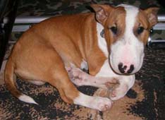 Tyson